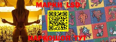 jwh Краснодар