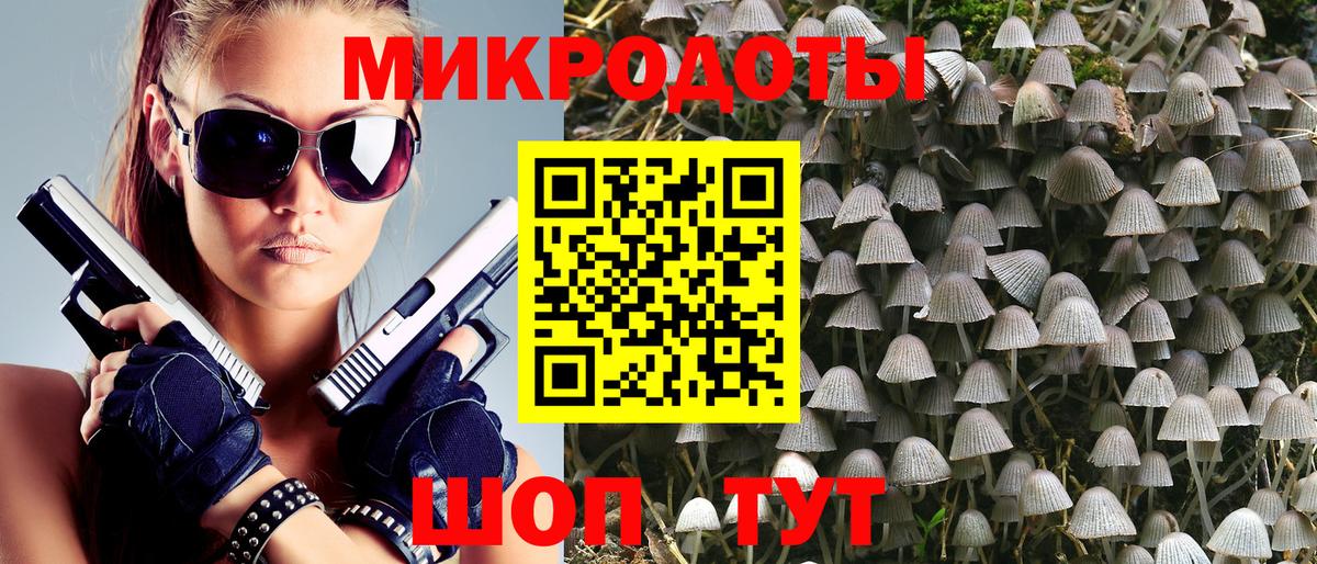 Керчь  Галлюциногенные грибы Cubensis  Вход с VPN 